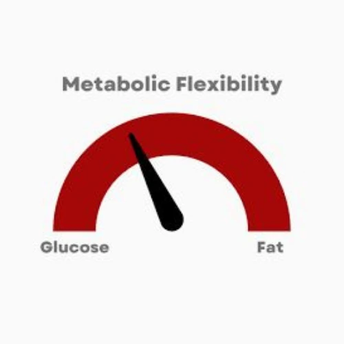 Day 36 – Metabolic Flexibility