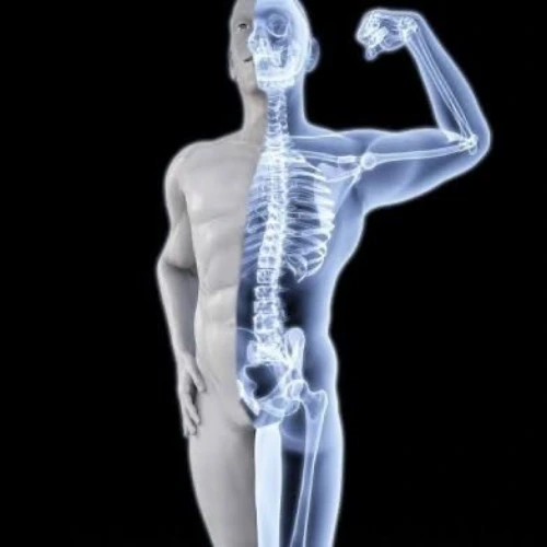 Day 35 – Strength Training as We Age