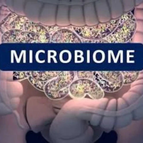 Day 18 – The Microbiome