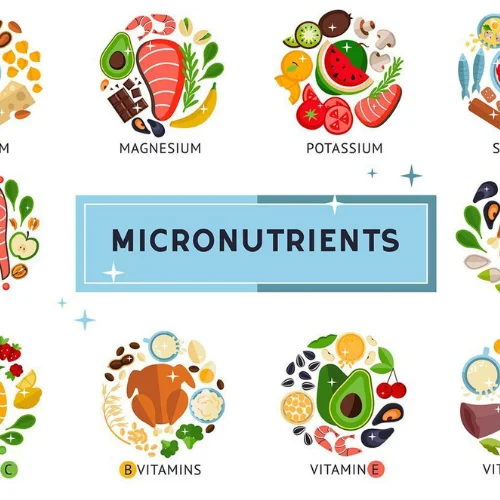 Day 3 – Micronutrients